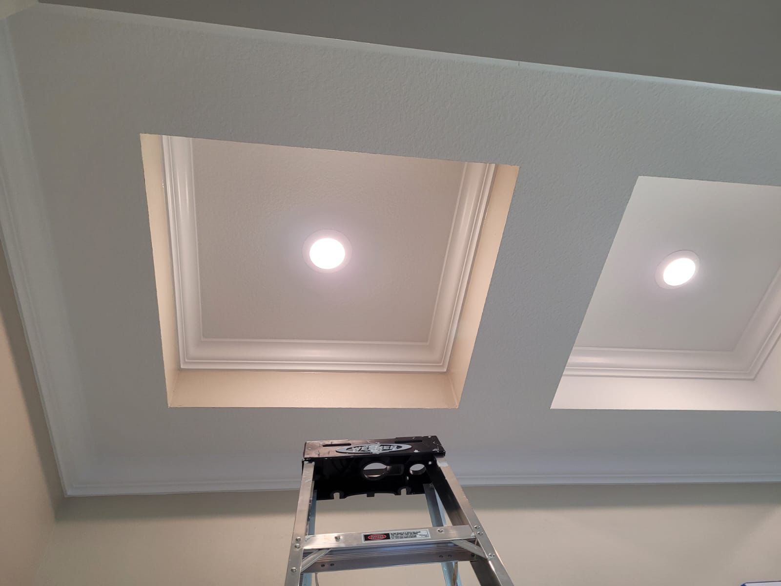 Project Coordination